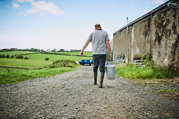 Work-family conflict a major contributor to poor mental health in Irish farmers, study finds